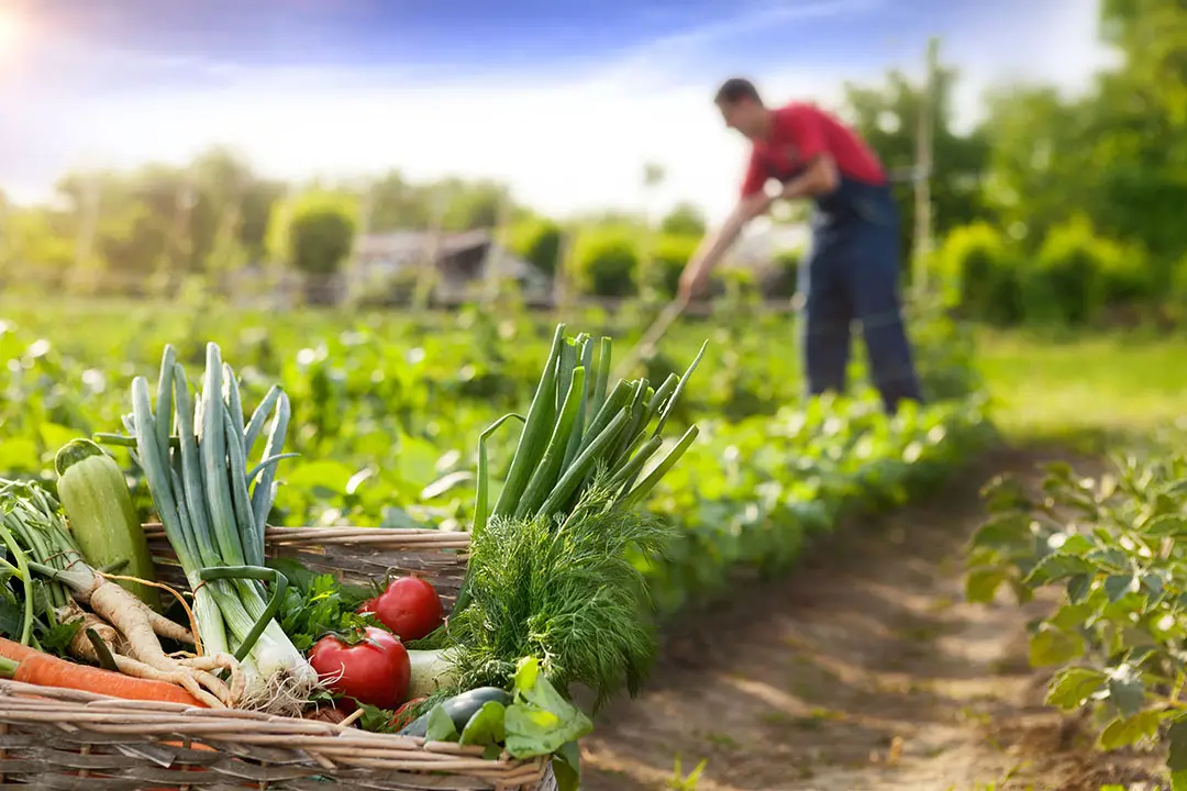 curso gratis agricultura